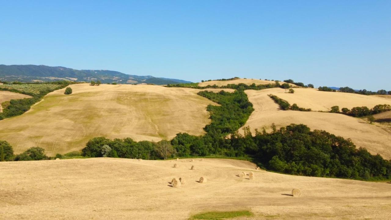 Glamping Le Dune Cinigiano Eksteriør bilde